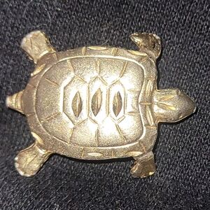 Turtle Broach